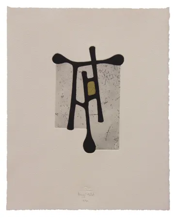 Ets En Aquatint Baroja-Collet - Contraseña