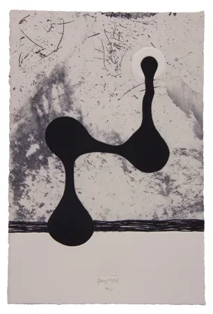 Ets En Aquatint Baroja-Collet - Free them all