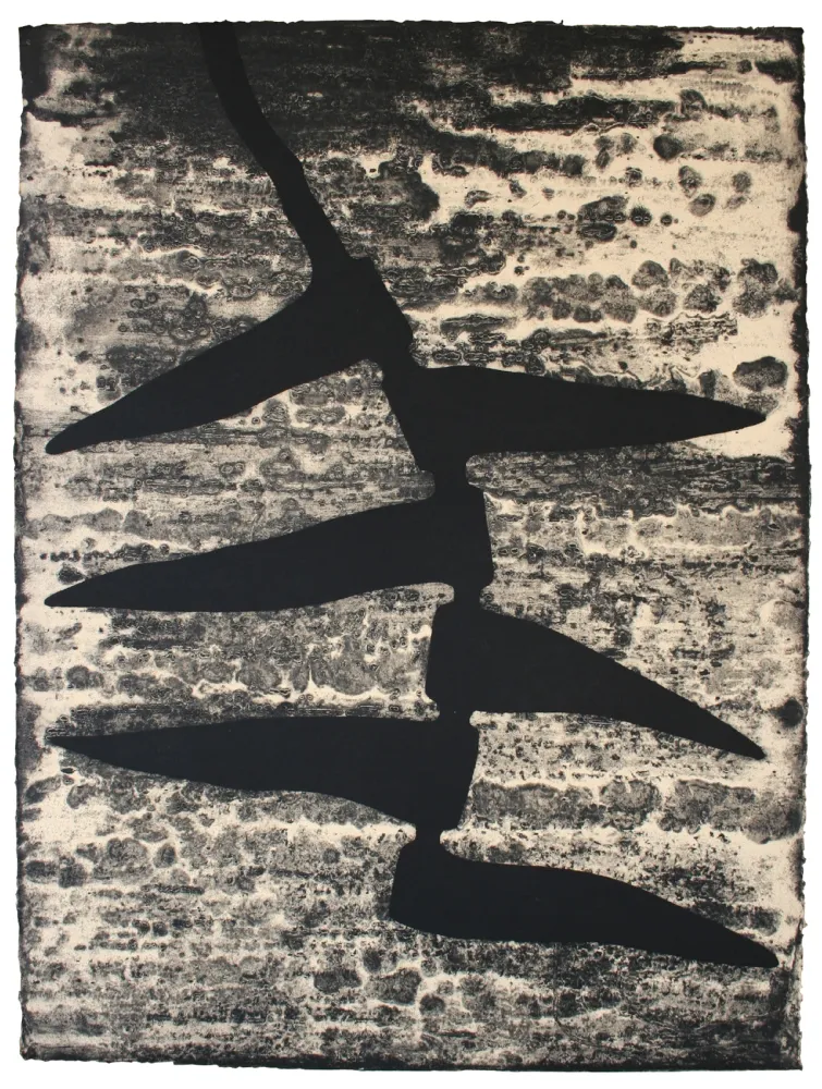 Ets En Aquatint Baroja-Collet - Garoa