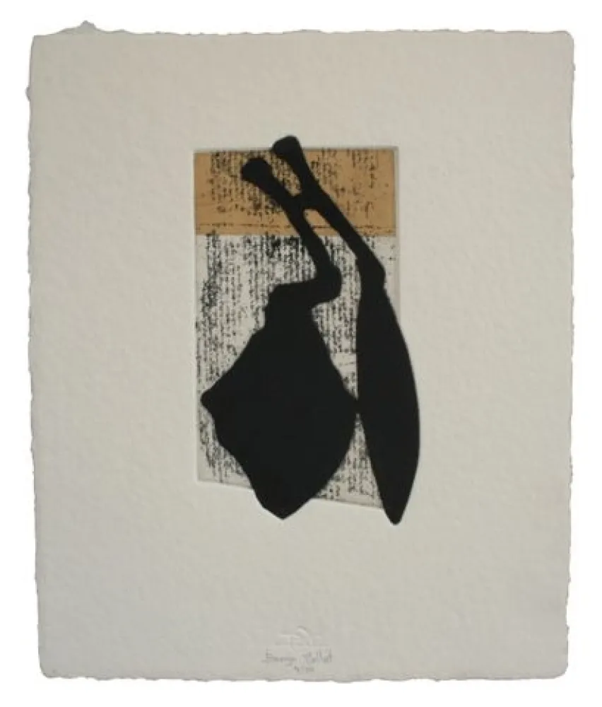 Ets En Aquatint Baroja-Collet - Laia