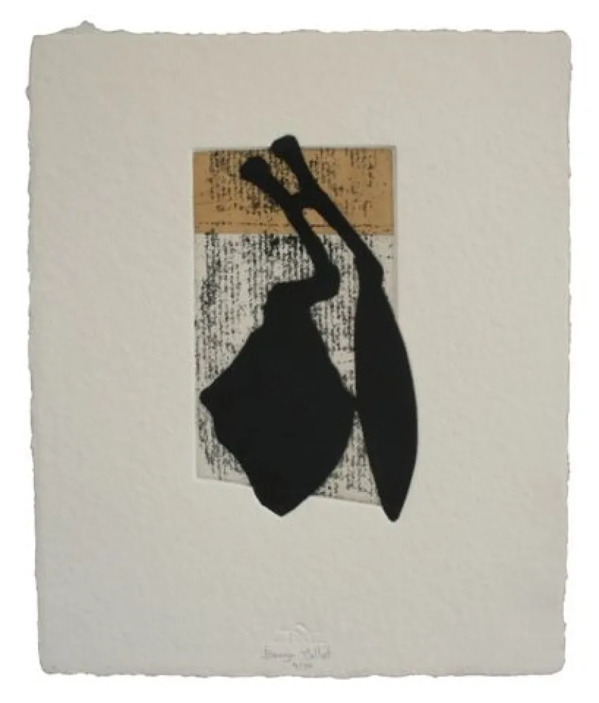 Ets En Aquatint Baroja-Collet - Laia