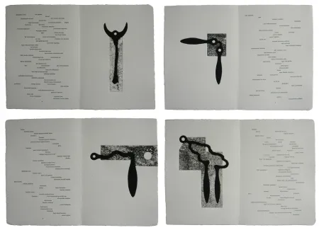 Geïllustreerd Boek Baroja-Collet - Mallarmeren betazalak