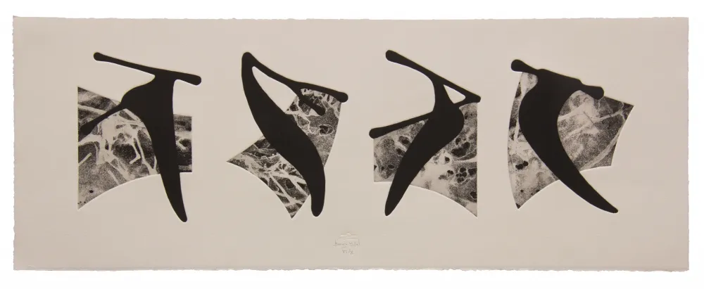 Ets En Aquatint Baroja-Collet - Neguko kronika