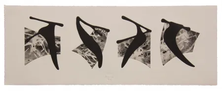 Ets En Aquatint Baroja-Collet - Neguko kronika