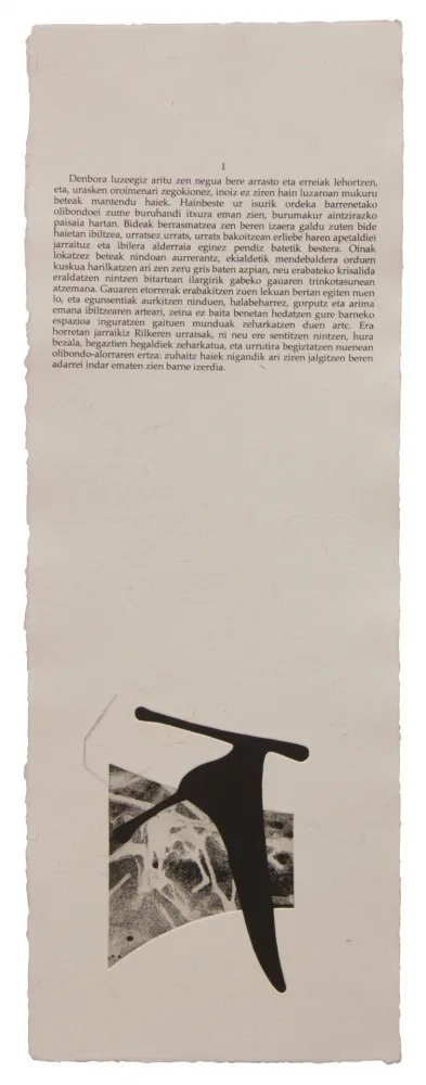 Geïllustreerd Boek Baroja-Collet - Neguko kronika hegoaldeko ordeketan