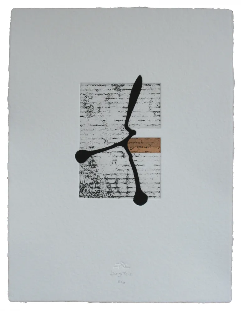 Ets En Aquatint Baroja-Collet - Rebelde