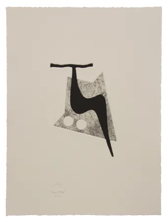 Ets En Aquatint Baroja-Collet - Vigoroso