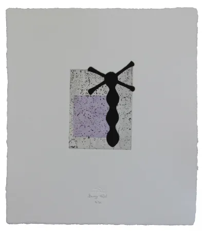 Ets En Aquatint Baroja-Collet - Zantzuak I