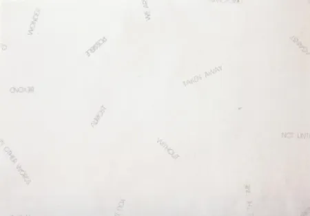 Lithografie Barry - Sans titre