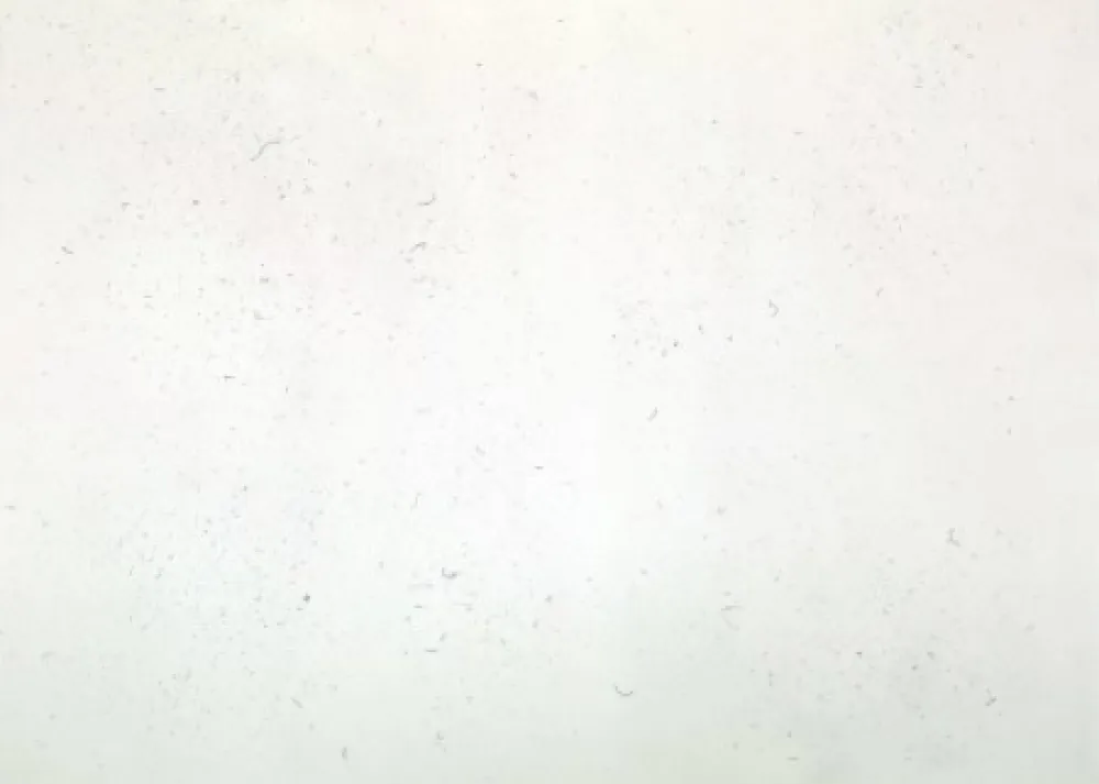 Gravure Bartolini - Dust Chaser 1