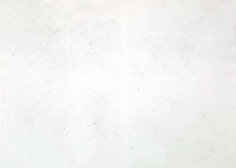 Gravure Bartolini - Dust Chaser 2