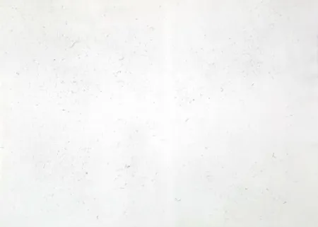 Gravure Bartolini - Dust Chaser 2