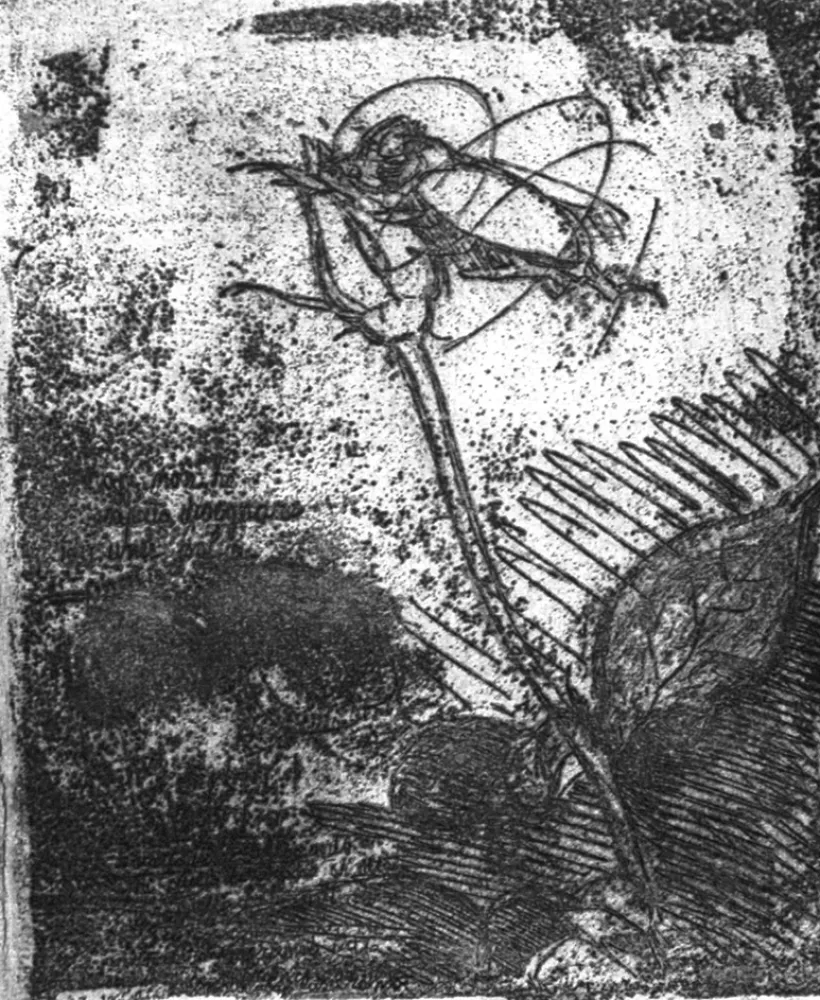 Ets Bartolini - La rosa