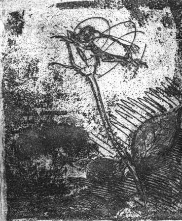 Ets Bartolini - La rosa