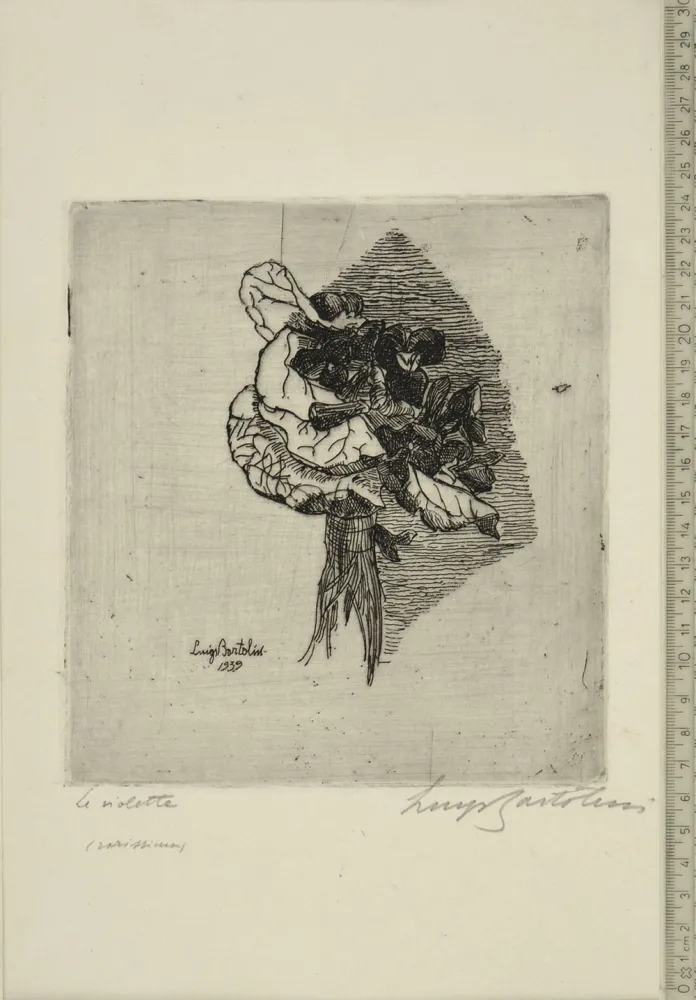 Ets Bartolini - LE VIOLETTE