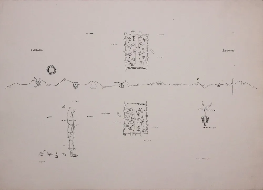 Lithografie Baruchello - Campioni