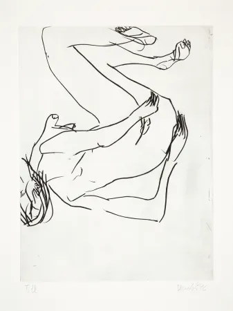 Droge Naald Baselitz - 