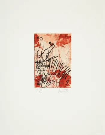 Droge Naald Baselitz - 