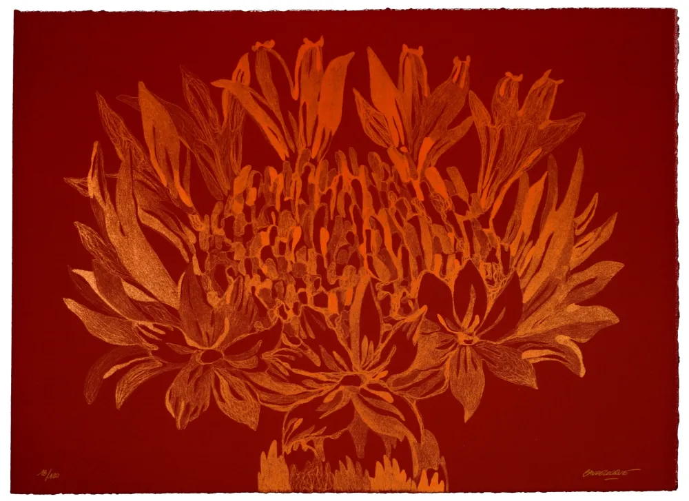 Lithografie Baudelocque - Lys