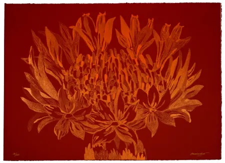 Lithografie Baudelocque - Lys