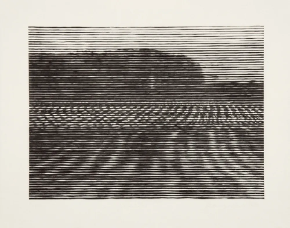 Houtsnede Baumgartner - Gelände