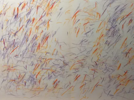 Geïllustreerd Boek Bazaine - DLM 170