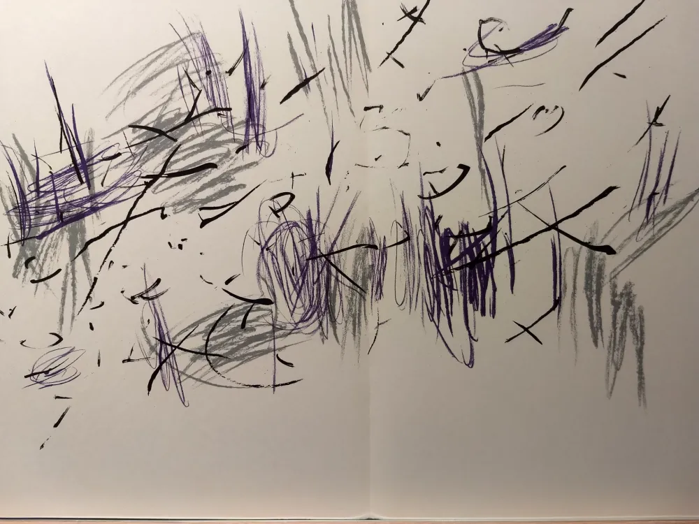 Geïllustreerd Boek Bazaine - DLM 197