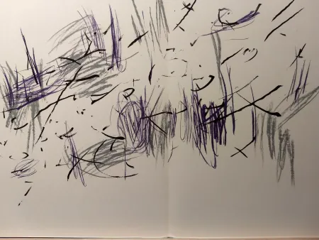 Geïllustreerd Boek Bazaine - DLM 197