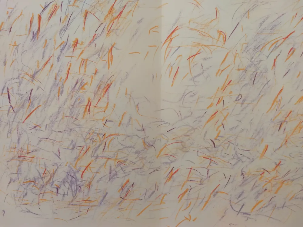 Geïllustreerd Boek Bazaine - Edition Tete DLM 170