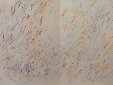 Geïllustreerd Boek Bazaine - Edition Tete DLM 170