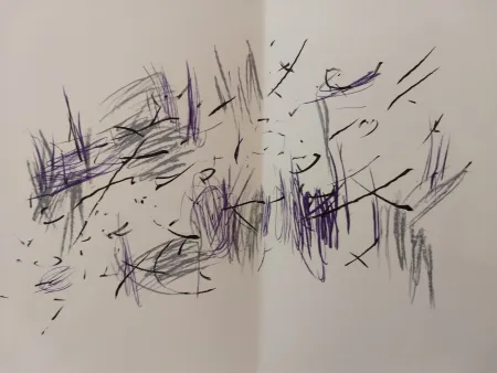 Geïllustreerd Boek Bazaine - Edition Tete DLM 197