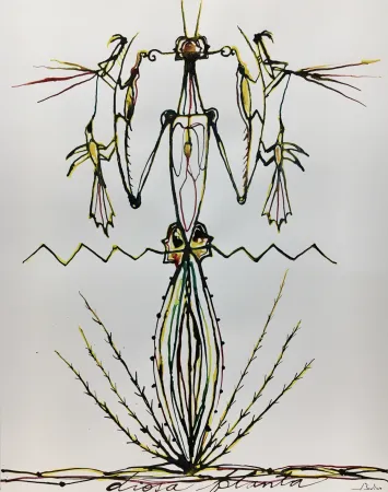 Aquatint Bedia - Diosa Planta