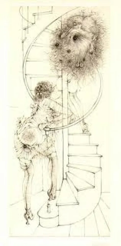 Geïllustreerd Boek Bellmer - Madame edwarda