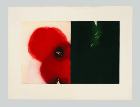 Ets En Aquatint Benati - Affiora