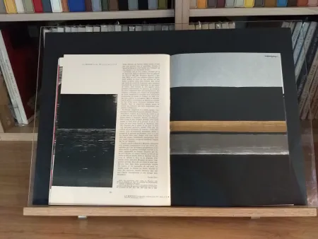 Geïllustreerd Boek Bergman - No 35