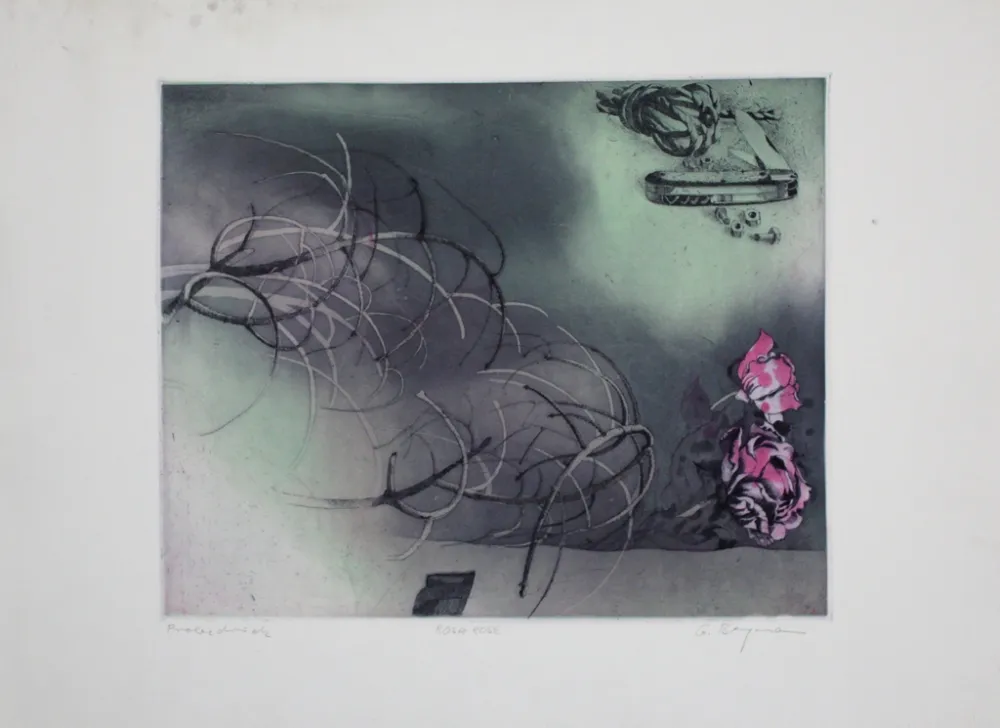 Ets En Aquatint Bergmann - Rosa Rose