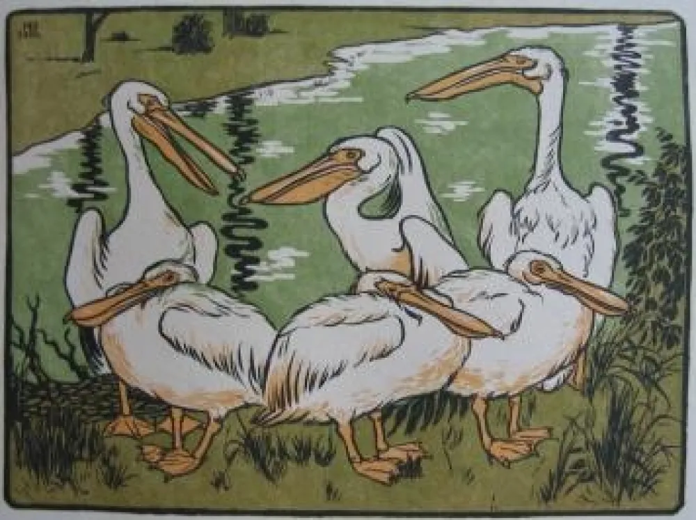 Houtsnede Berthold - Pelikane