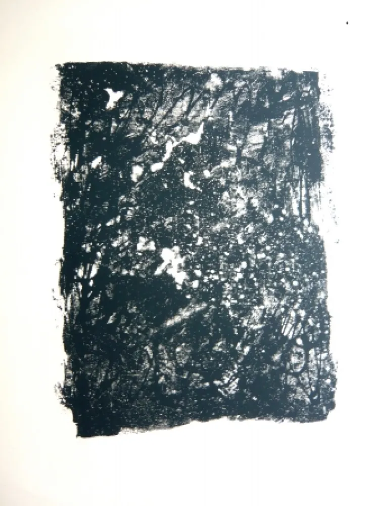 Lithografie Bertholo - Sans titre