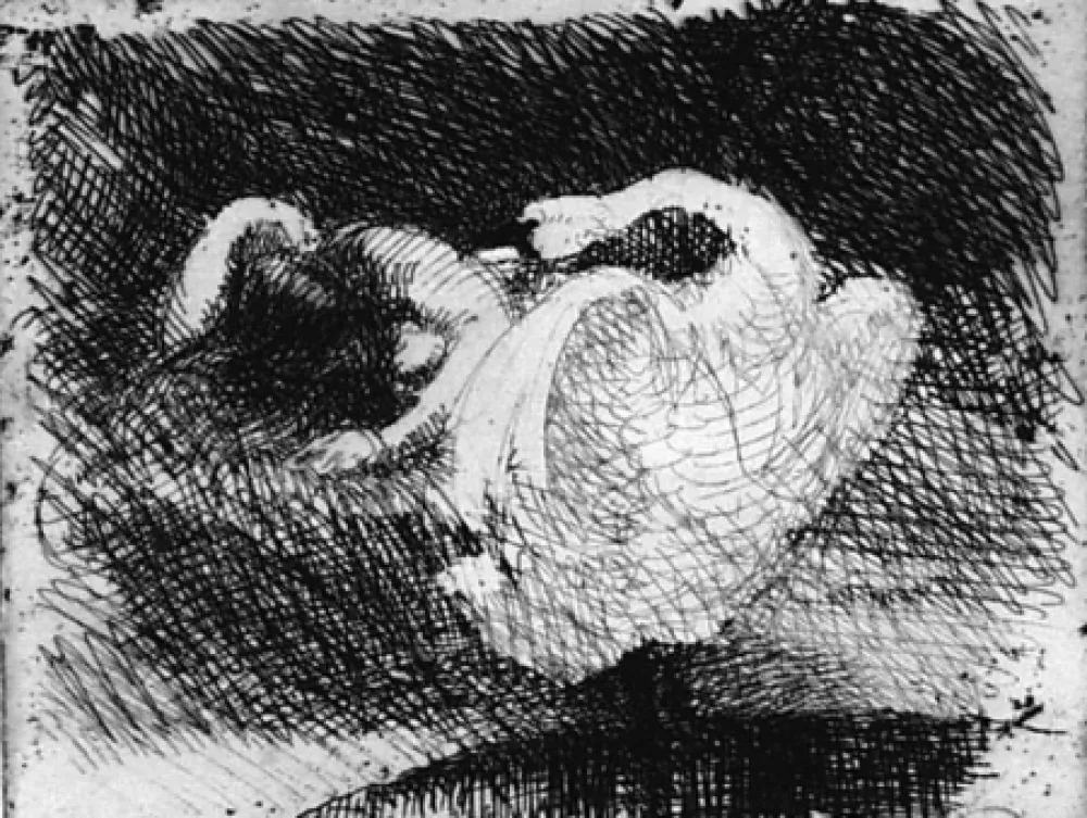 Ets Besnard - Léda s'endort