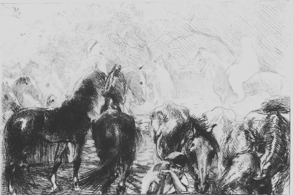 Ets Besnard - Marché aux chevaux a Mainson Carré - Algérie