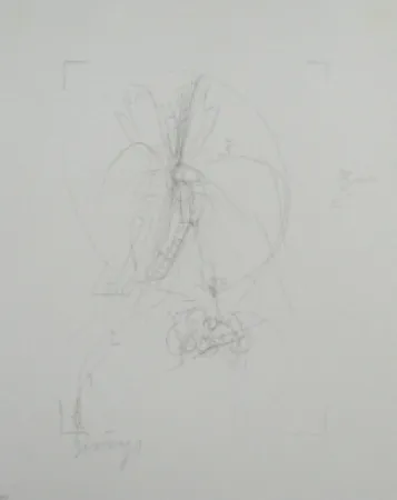 Lithografie Beuys - Codices Madrid 10