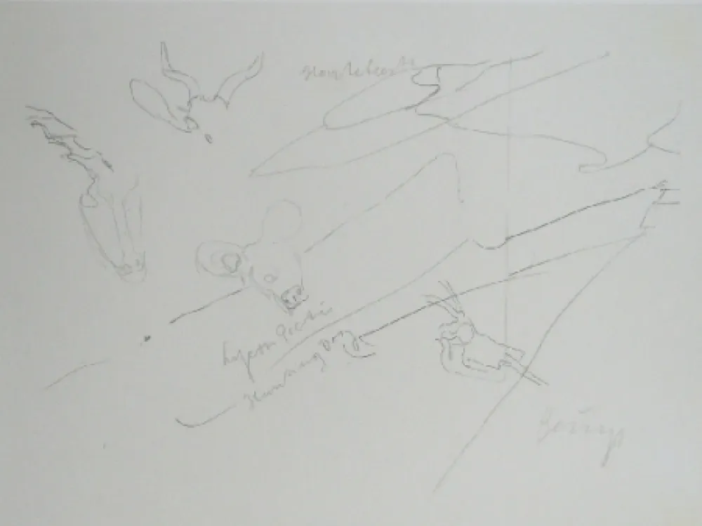 Lithografie Beuys - Codices Madrid 9