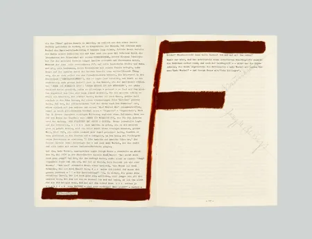 Geen Techniek Beuys - Das Warhol Beuys Ereignis