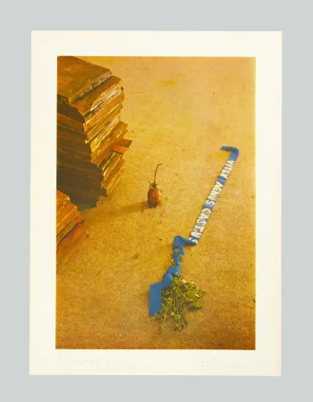Lithografie Beuys - Vitex agnus castus