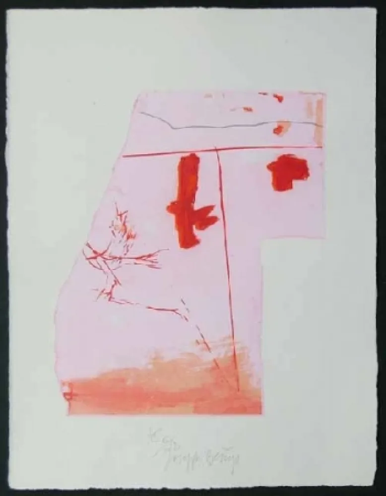 Aquatint Beuys - Vogel