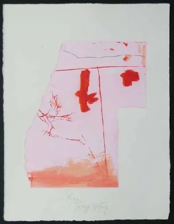 Aquatint Beuys - Vogel