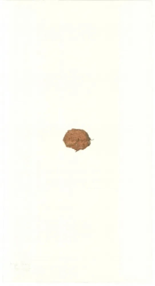 Lithografie Beuys - Zirkulationszeit: Bär  Museumsausgabe