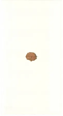 Lithografie Beuys - Zirkulationszeit: Bär  Museumsausgabe