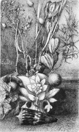 Ets Bianchi Barriviera - Natura morta