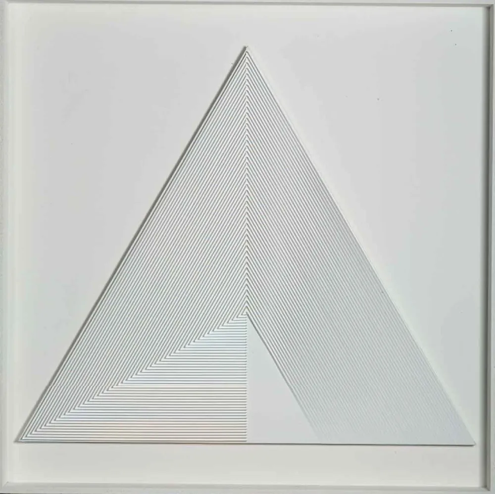 Geen Techniek Biasi - POLITIPO TRIANGOLARE